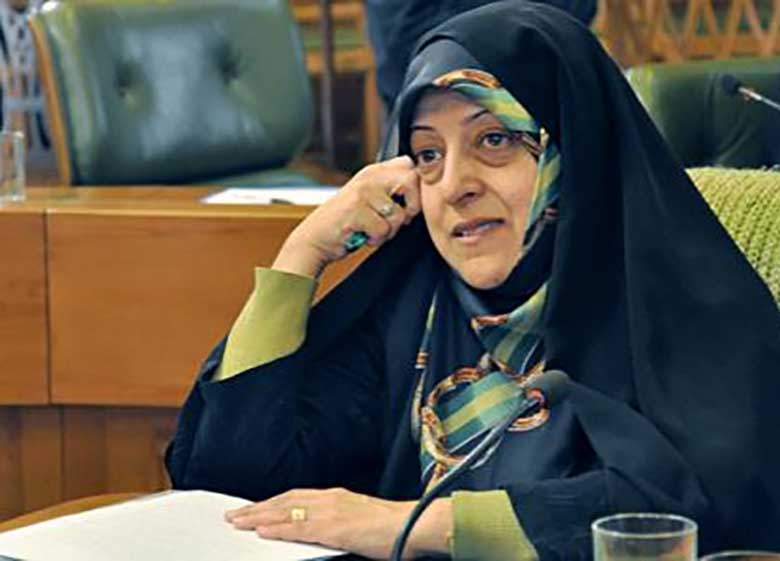 بادامچیان: ابتکار لیاقت مسئولیت را ندارد