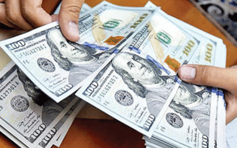ارز بگیران بی نام و نشان!/ تغییر چندباره نام شرکت دریافت کننده ارز دولتی / اسناد