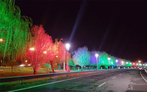 مرگ تدریجی درختان ولیعصر