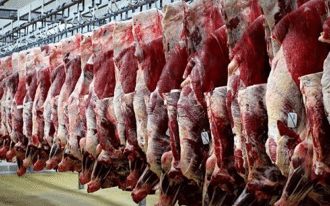 قیمت گوشت