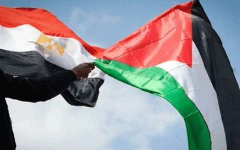 نفت دریای سرخ