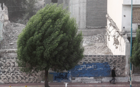 وزش باد شدید