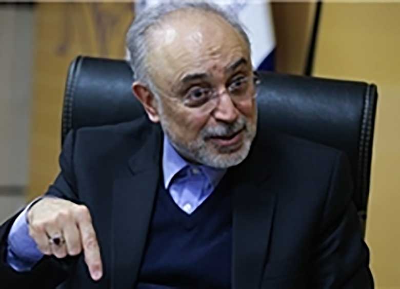 صالحی: در فصل انتخابات صحبتی در مورد برجام ندارم