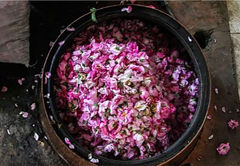 گردش مالی ۱۷۶ میلیاردی گلابگیری