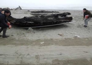 دو شناور تاریخی ایران ثبت ملی شد