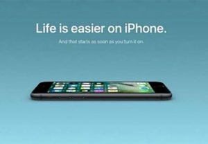 81