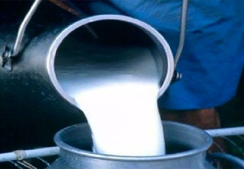 فروش شیرهای فلهای تاریخ گذشته در بازار