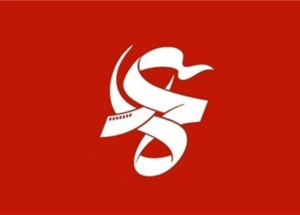 53