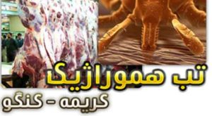 راه-های-پیشگیری-از-تب-کریمه-کنگو-1