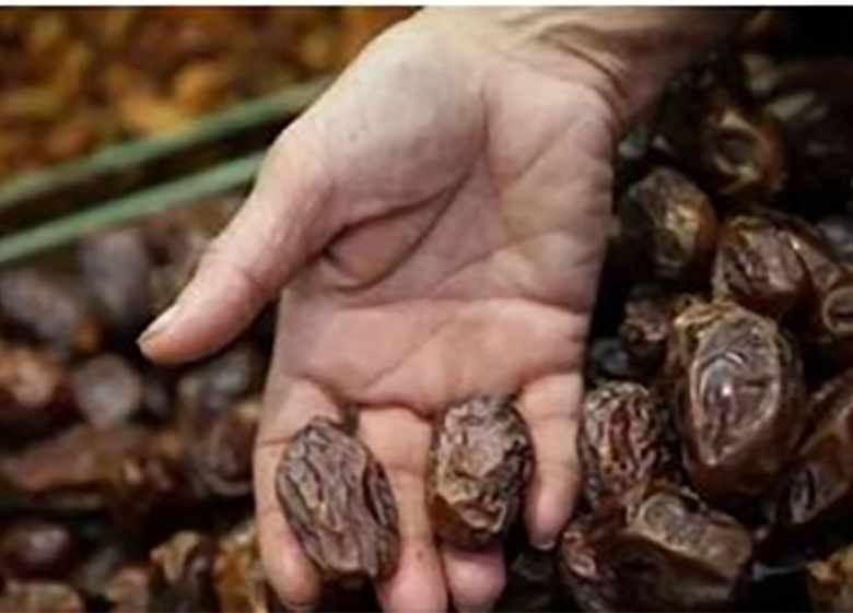 توقیف یک محموله خرمای عربستانی