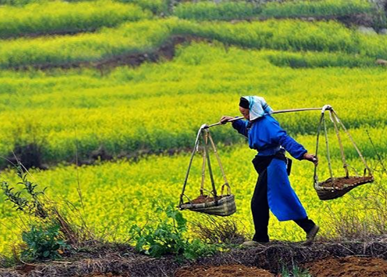 لغو قانون تمرکز وظایف کشاورزی عقبگرد به گذشته است