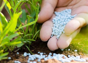 151