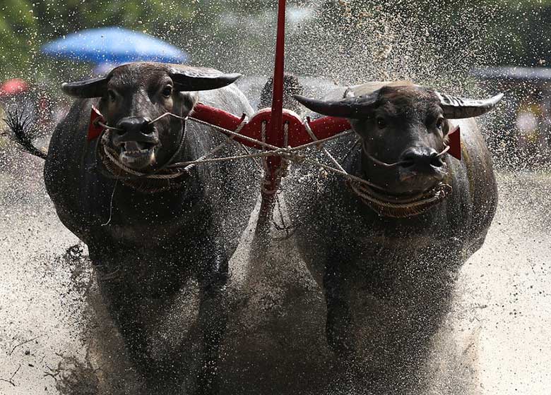 تصاویر : دیدنیهای امروز چهارشنبه ۲۸ تیرماه