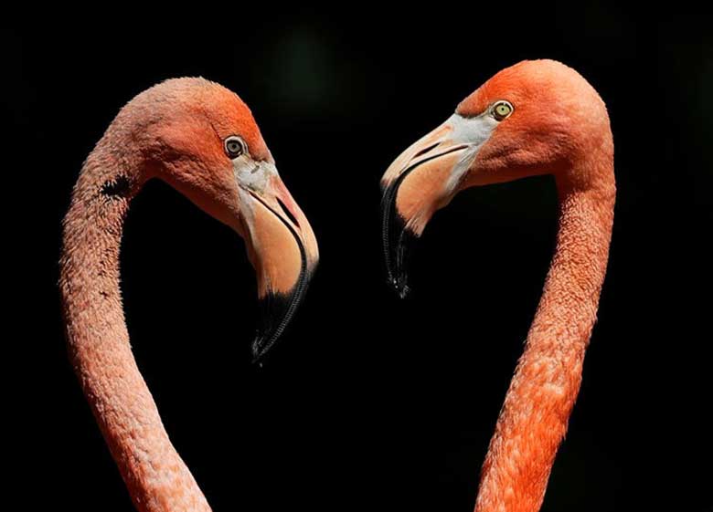 تصاویر : دیدنیهای امروز چهارشنبه ۲۸ تیرماه