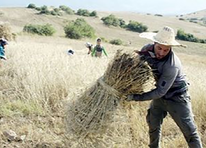 نان روستاییان از آسمان میبارد