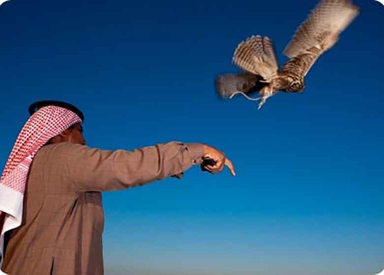 تفریحات شیخ های عرب با پرندگان ایرانی