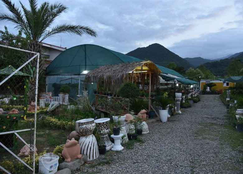 گلخانهای با ۳۰ میلیون درآمد در ماه/خوب شد کارمند نشدم!