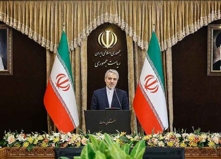 تصاویر حاشیه ای از نشست سخنگوی دولت