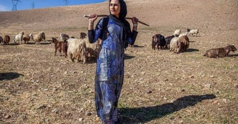 دختر کوچ نشین، قهرمان کیک بوکسینگ ایران