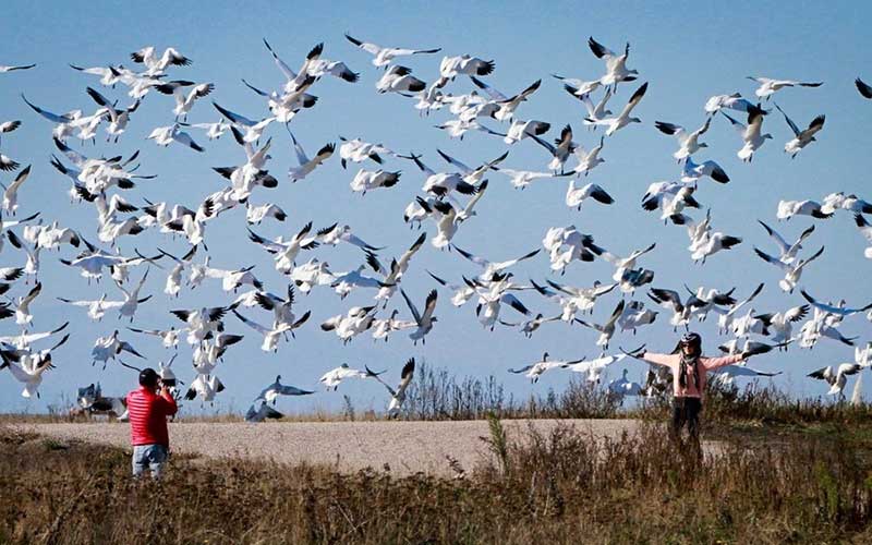 دیدنیهای امروز دوشنبه ۸ آبانماه