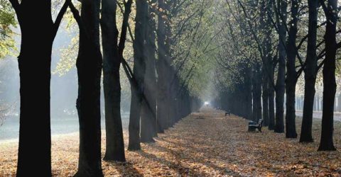 دیدنی‌های امروز یکشنبه ۳۰ مهرماه