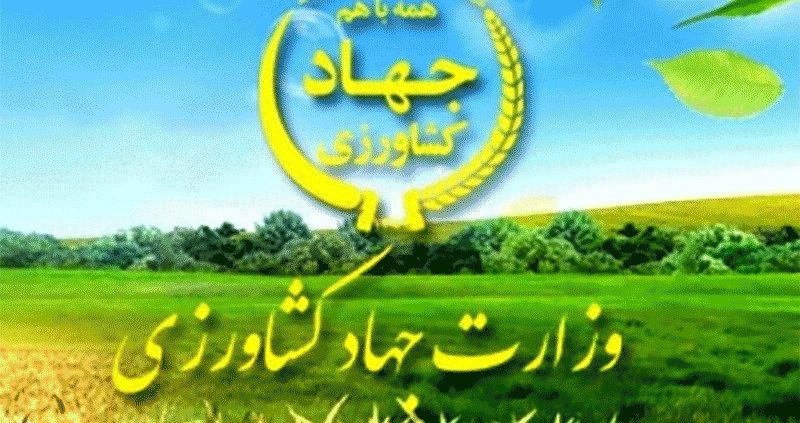 علت قطع درختان سیب در دماوند اعلام شد
