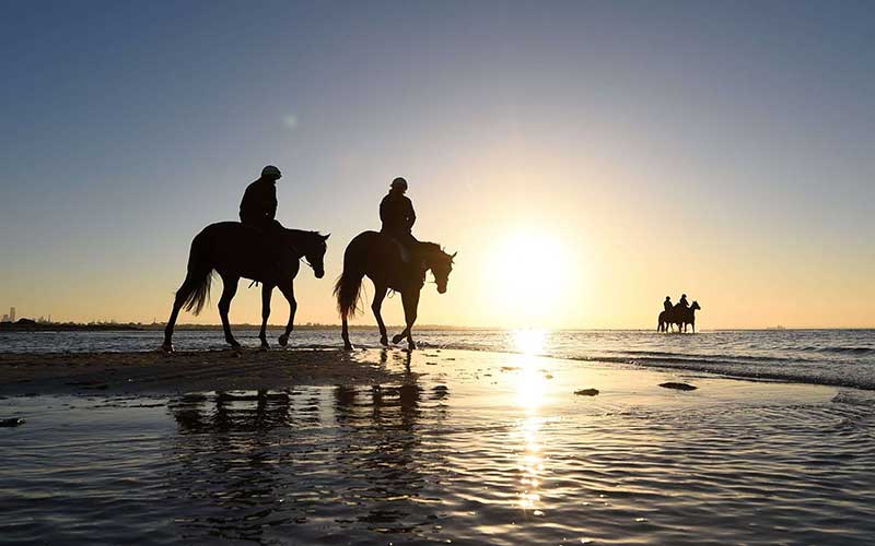 دیدنیهای امروز دوشنبه ۸ آبانماه