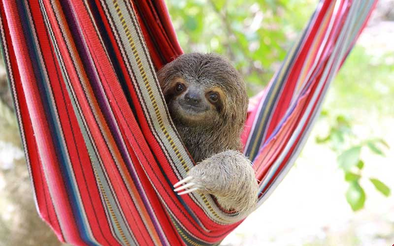 دیدنیهای امروز یکشنبه ۳۰ مهرماه