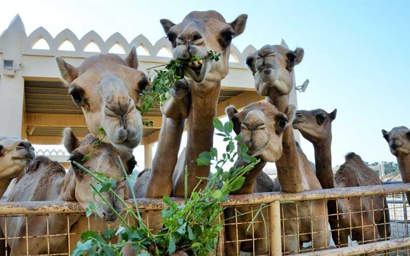 دیدنیهای امروز یکشنبه ۳۰ مهرماه