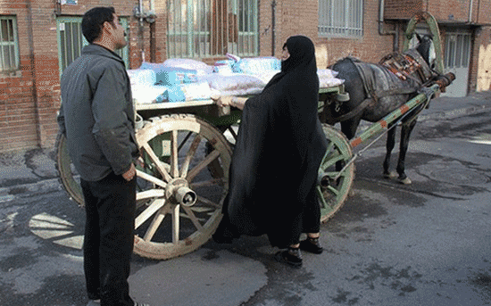 واپسین نسل نمکیهای «طهران» 6oxquf2c