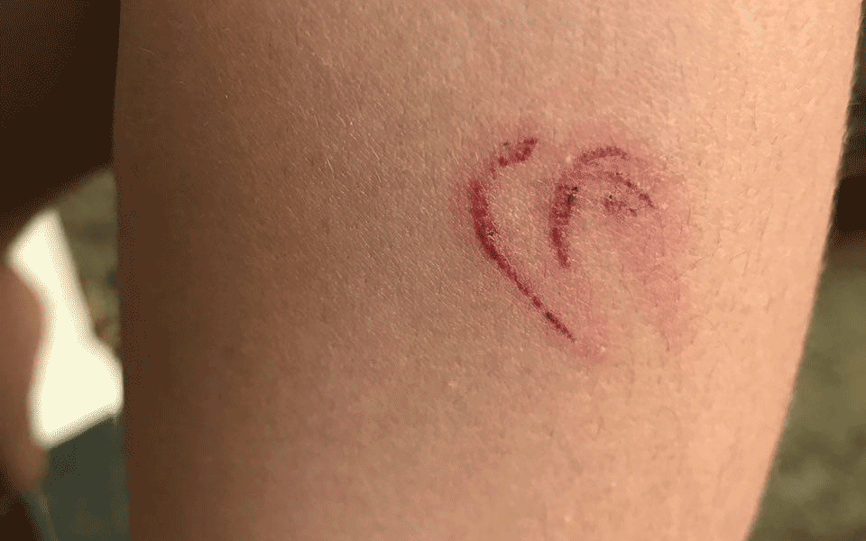 شکنجه دانش آموزان یک مدرسه در استان ایلام با سیم برق + تصاویر