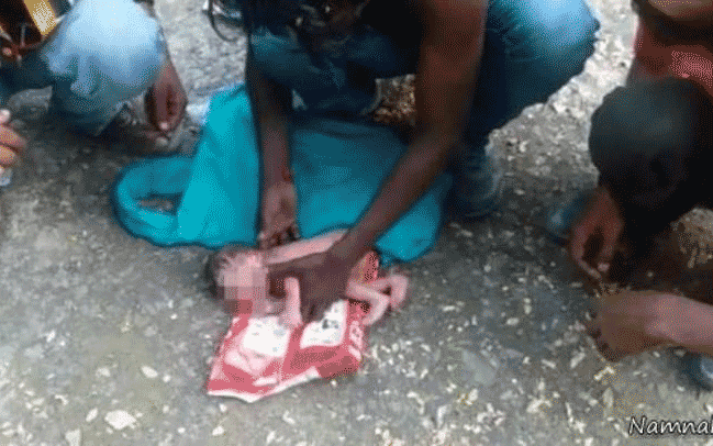 مورچهها نوزاد دختر را زنده زنده خوردند! +تصاویر