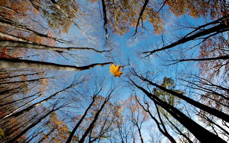 دیدنیهای امروز دوشنبه ۸ آبانماه