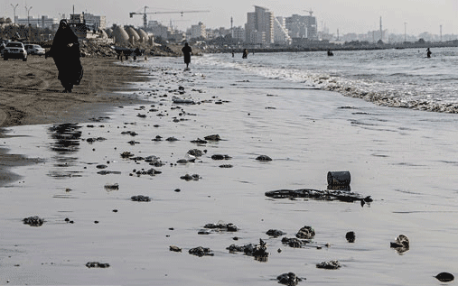 پیگیری علت مرگ عروس های دریایی در بندر عباس