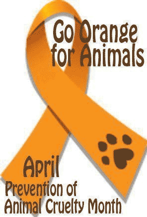 ژست «خشونت علیه زنان» با روبان اشتباهی