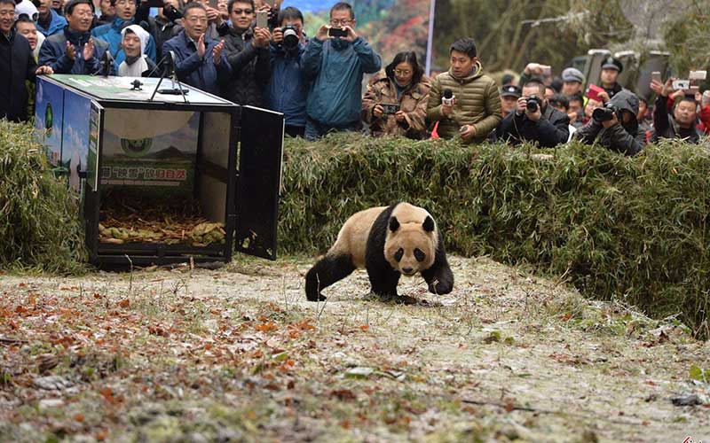 تصاویر : دیدنیهای امروز جمعه ۳ آذرماه