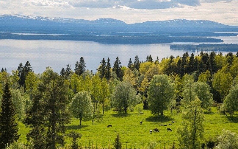 ایران در میان سازگارترین کشورها با محیط زیست جایی ندارد