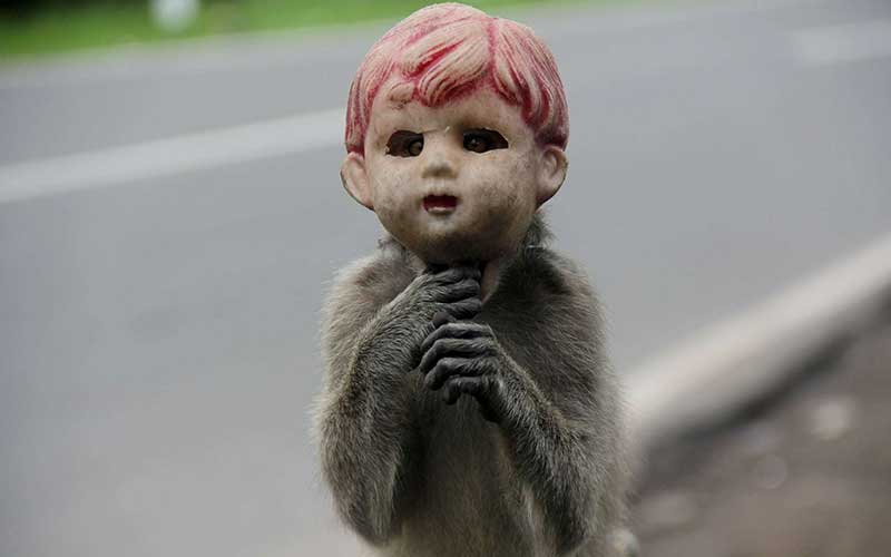 تصاویر : دیدنیهای امروز جمعه ۳ آذرماه