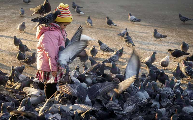 تصاویر : دیدنیهای امروز جمعه ۳ آذرماه