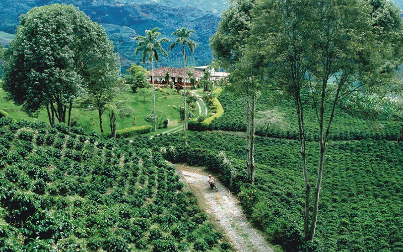 ایران در میان سازگارترین کشورها با محیط زیست جایی ندارد