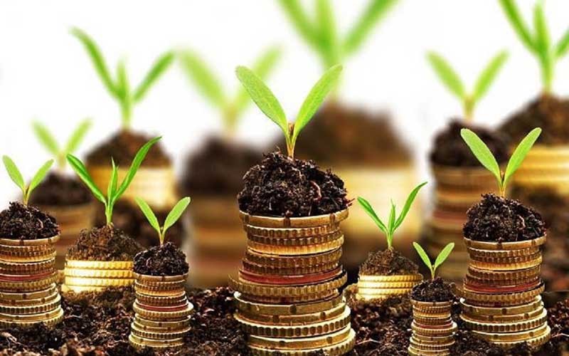 حیاط خلوت بانکها زیر ذرهبین بانک مرکزی
