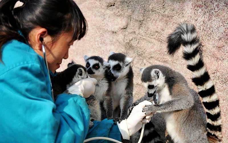 تصاویر : دیدنیهای امروز جمعه ۳ آذرماه