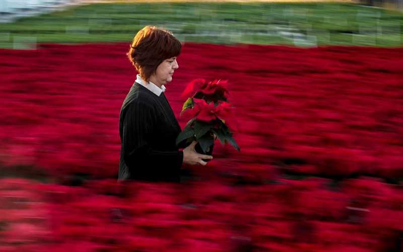 تصاویر : دیدنیهای امروز جمعه ۳ آذرماه