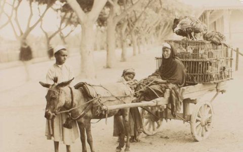 (تصاویر) آلبوم منحصر به فرد از مصر 140سال قبل