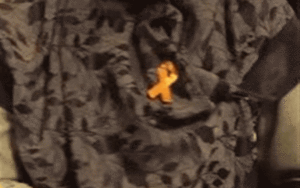 41