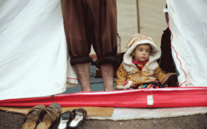 45