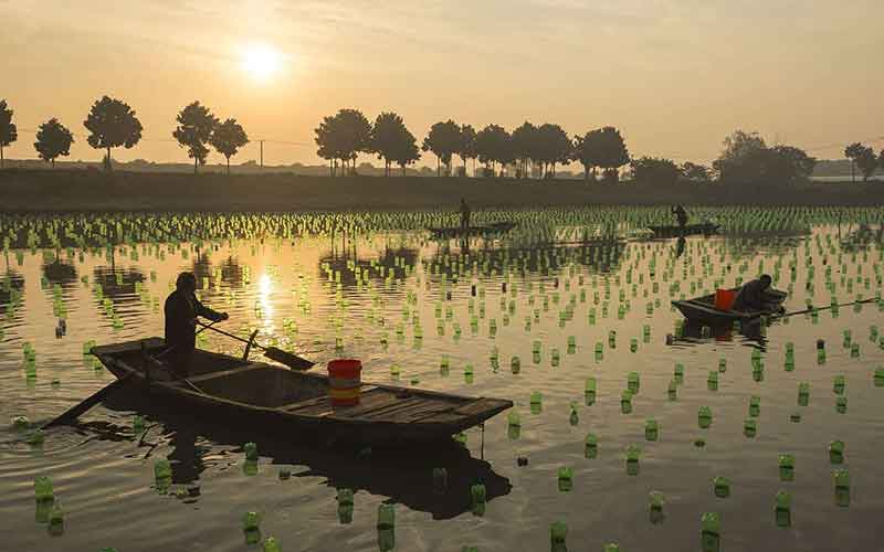 تصاویر : دیدنیهای امروز جمعه ۱۲ آبانماه
