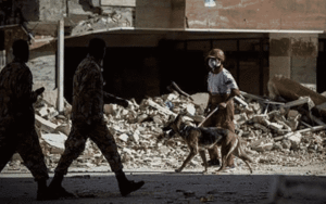 65
