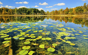 76