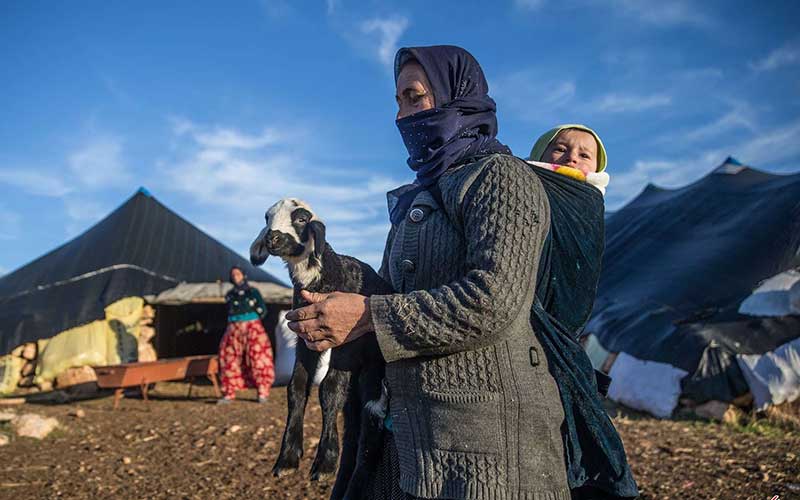 تصاویر : دیدنیهای امروز جمعه ۳ آذرماه